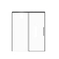 Frameless Single Sliding Shower Door