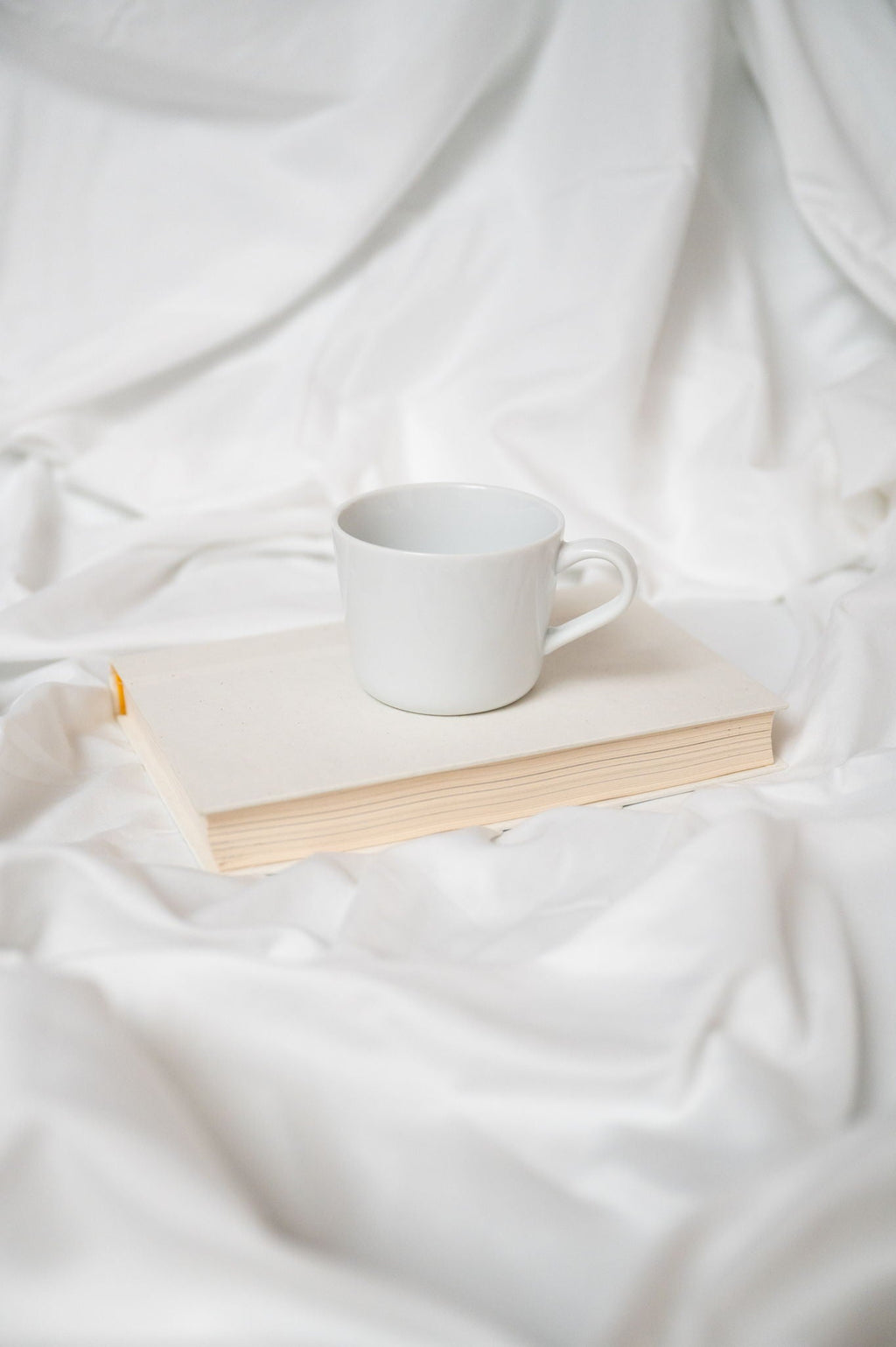 Brushed Hypoallergenic Sheet Set