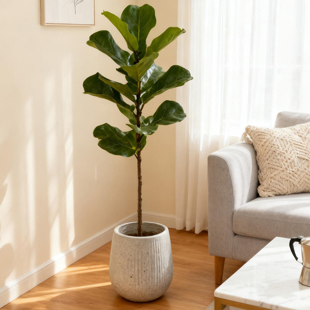 13.38' Dia x 16.14' H Large Round Planter