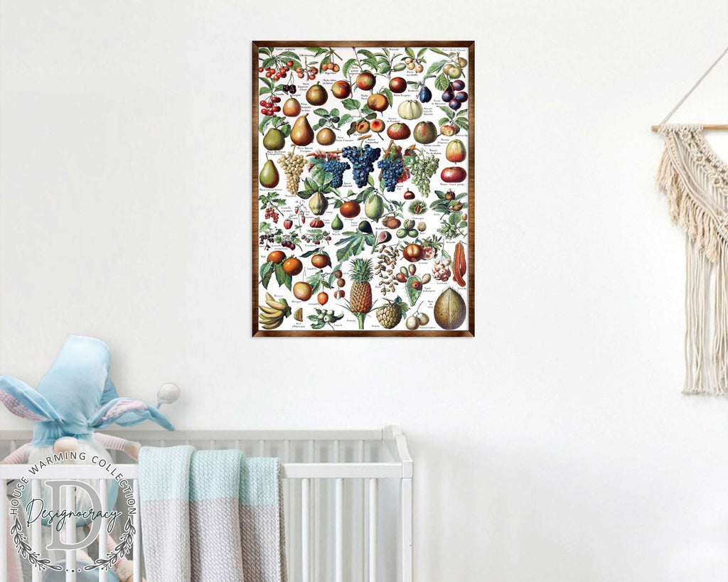 Fruit Montessori Wooden Poster - Homeschool I Educational Poster - Classroom Decor - Aesthetic - 310223