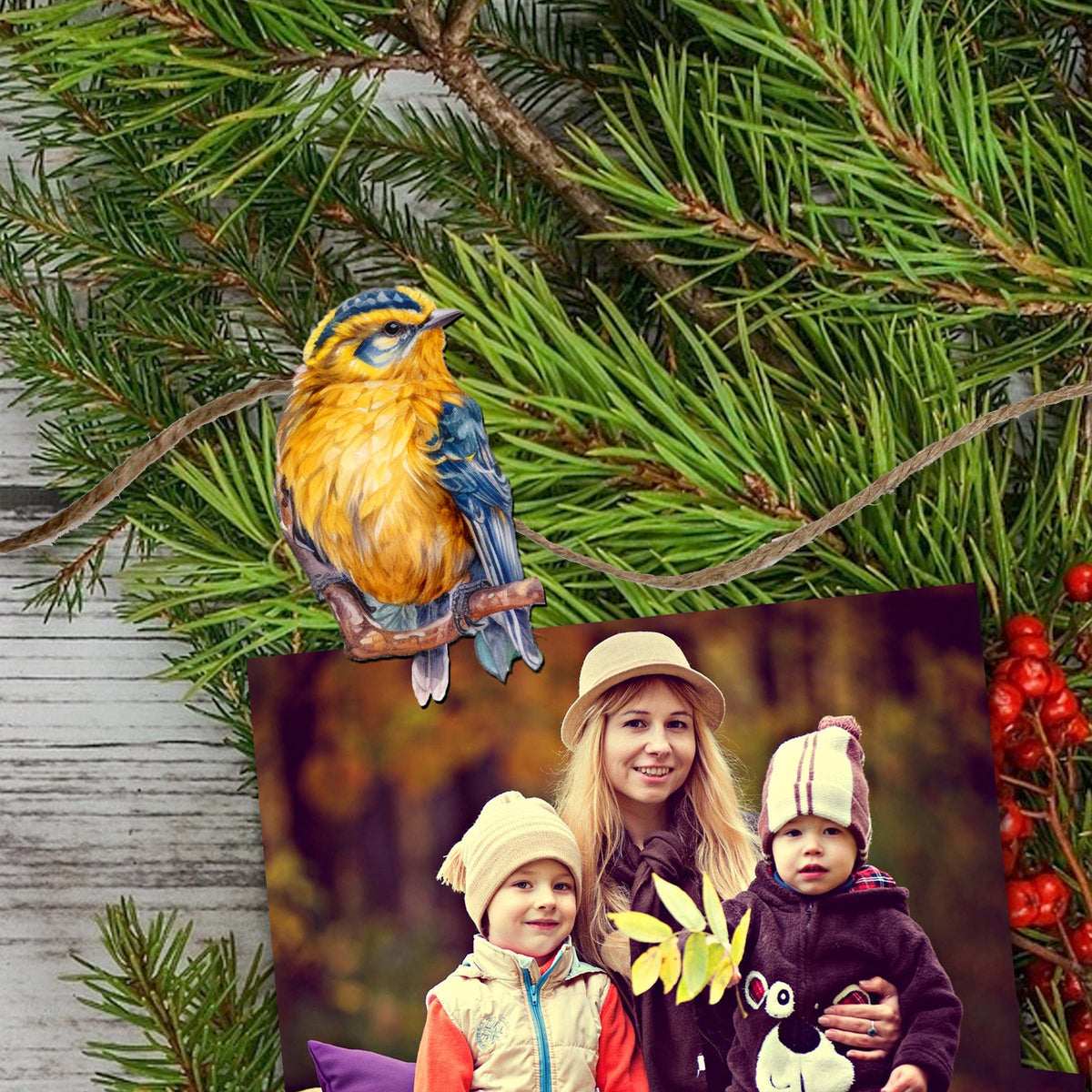 Winter Birds Clip-On Eco Wood Decorative Ornaments Set of 6 by G. Debrekht - Christmas Decor - 8090005C-S6