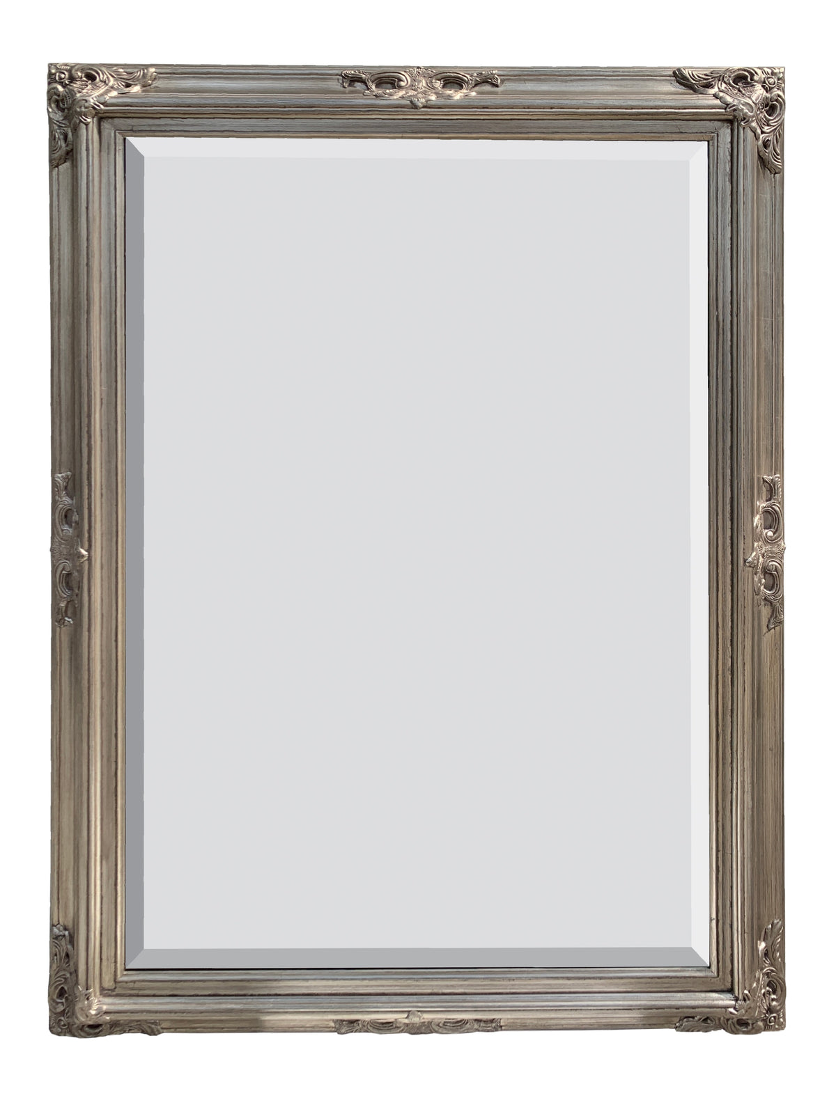 Mini Grand Victorian Mirror 24x36 Silver