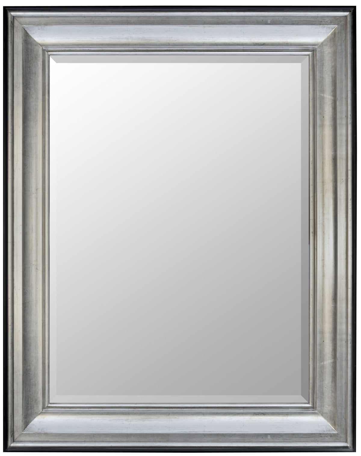 Silver Raven Mirror 36X48 Tarnished Silver Black