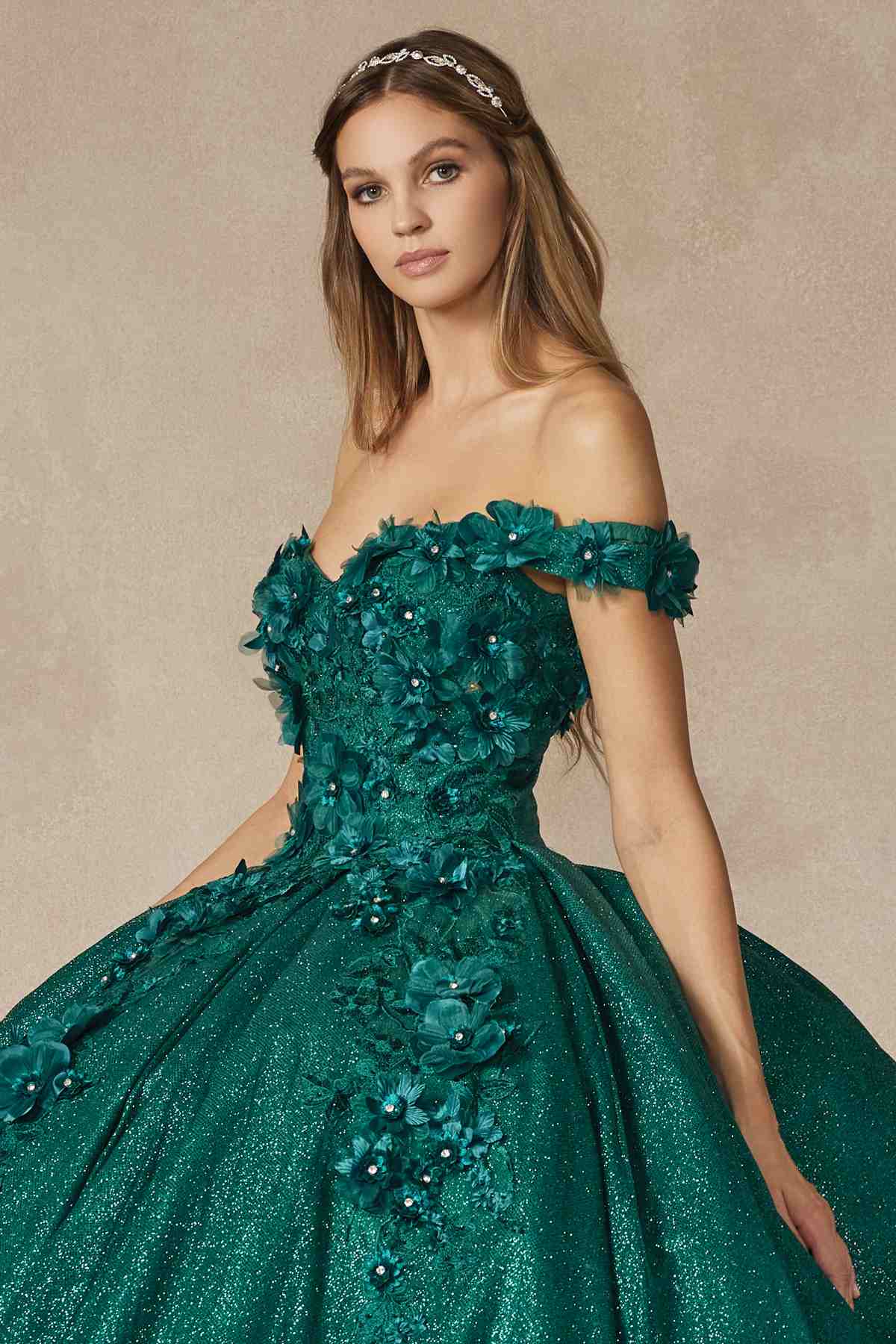 Juliet 1433 Dress Quinceanera Ball Gown 3D Floral Embroidered