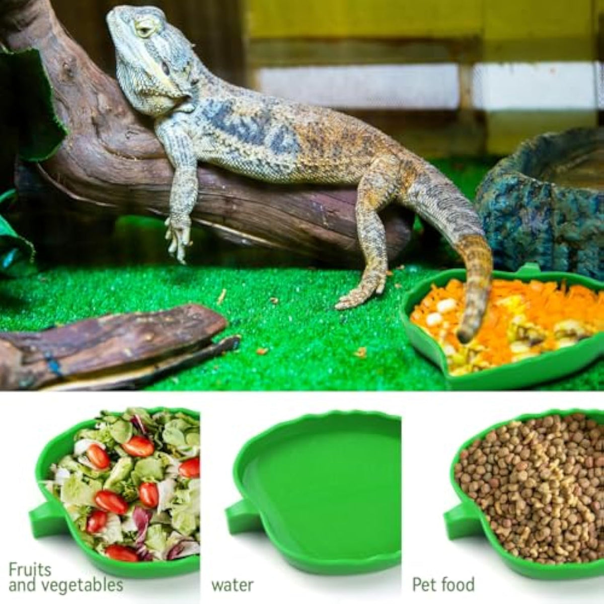 2 Pcs Leaf Reptile Food Water Bowl Plate Dish For Tortoise, Lizards, Young Bearded Dragons, Small Snakes, 2 Sizes
