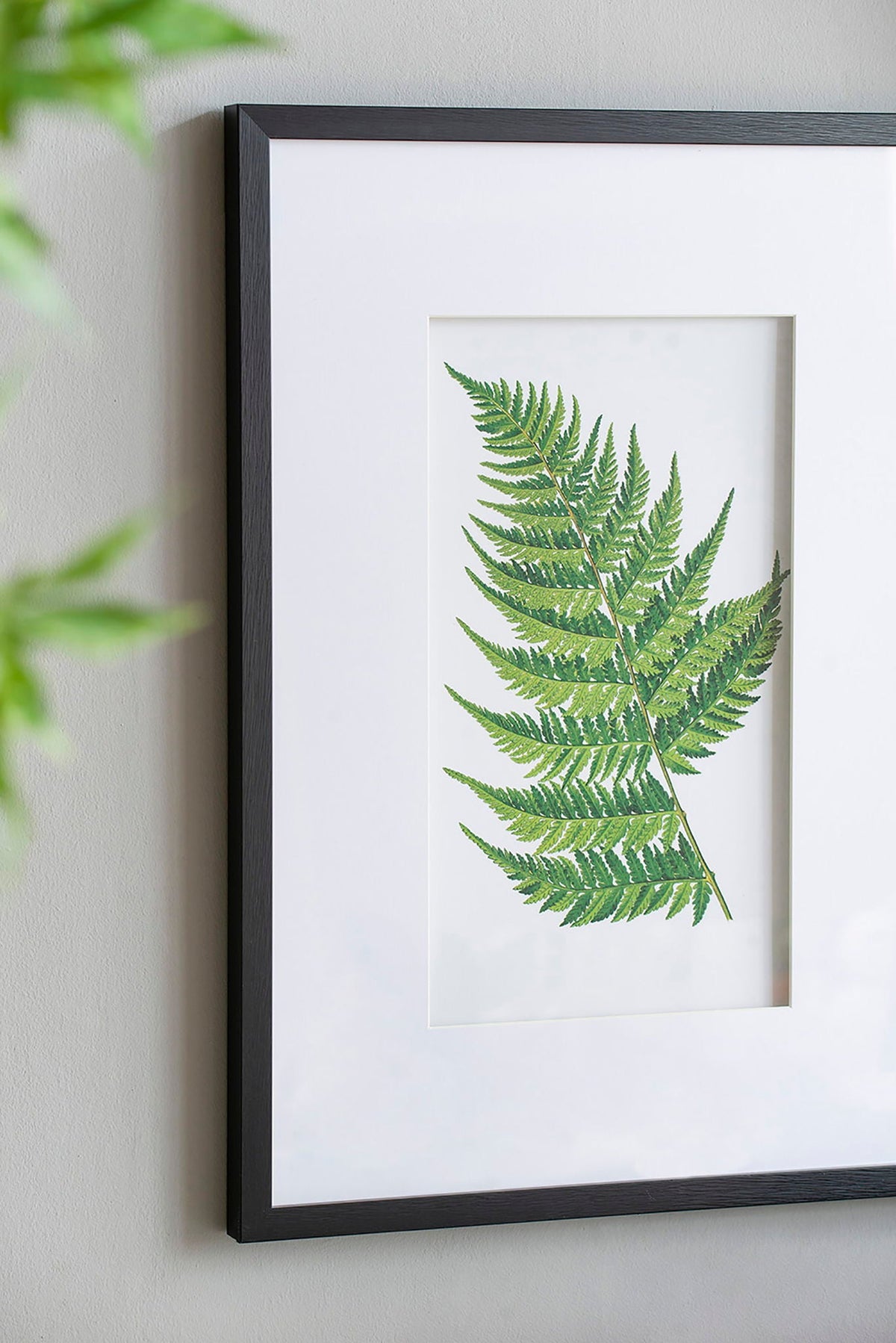 Botanical And Fern Wall Art, Wall Decor For Living Room Dining Room Entryway (Set of 4) - White / Black