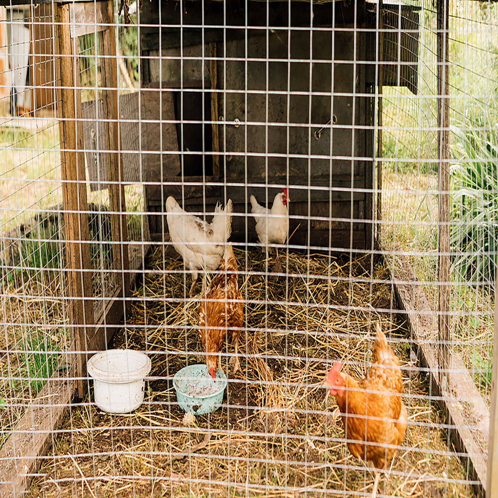 Galvanized Hardware Cloth, Chicken Wire Fence Roll For Garden And Animal Enclosures - Silver