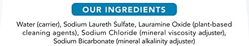 Planet Dishwashing Liquid - Ultra Fresh & Clean - 19 fl oz (Case of 12) | Eco-Friendly & Biodegradable