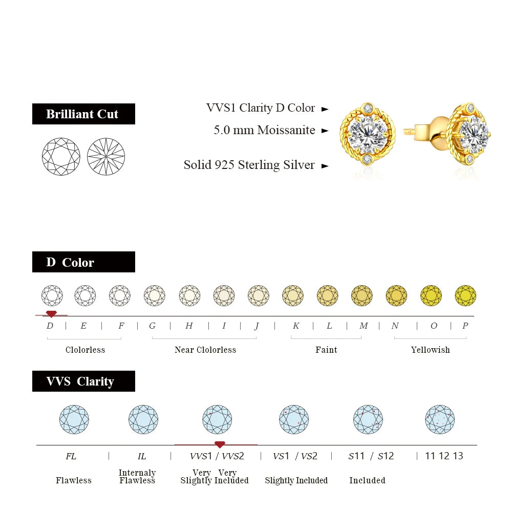 Fashion D Color Moissanite Earrings Real 925 Sterling Silver Passed the Diamond Tester Earrings for Women for Gilft New