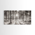 Winter Pine Forest, Sunlight Snow Trees, Nature Landscape Photography, Framed Canvas Print, Cabin Decor, Minimalist Wall Art