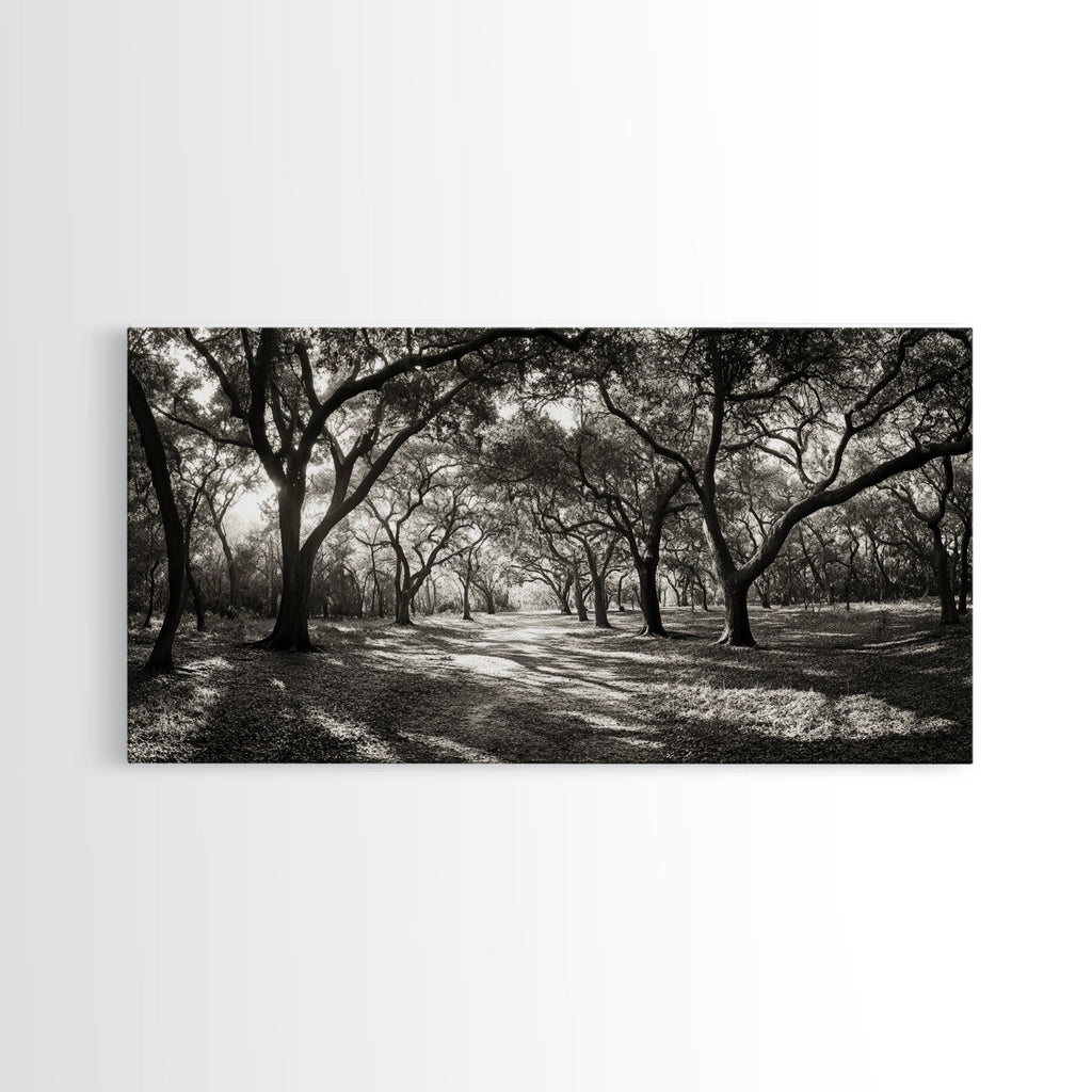Oak Tree Path, Autumn Forest Glow, Nature Trail Photography, Framed Canvas Print, Hallway Wall Art, Earthy Decor, Woodland Art