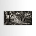 Oak Tree Path, Autumn Forest Glow, Nature Trail Photography, Framed Canvas Print, Hallway Wall Art, Earthy Decor, Woodland Art