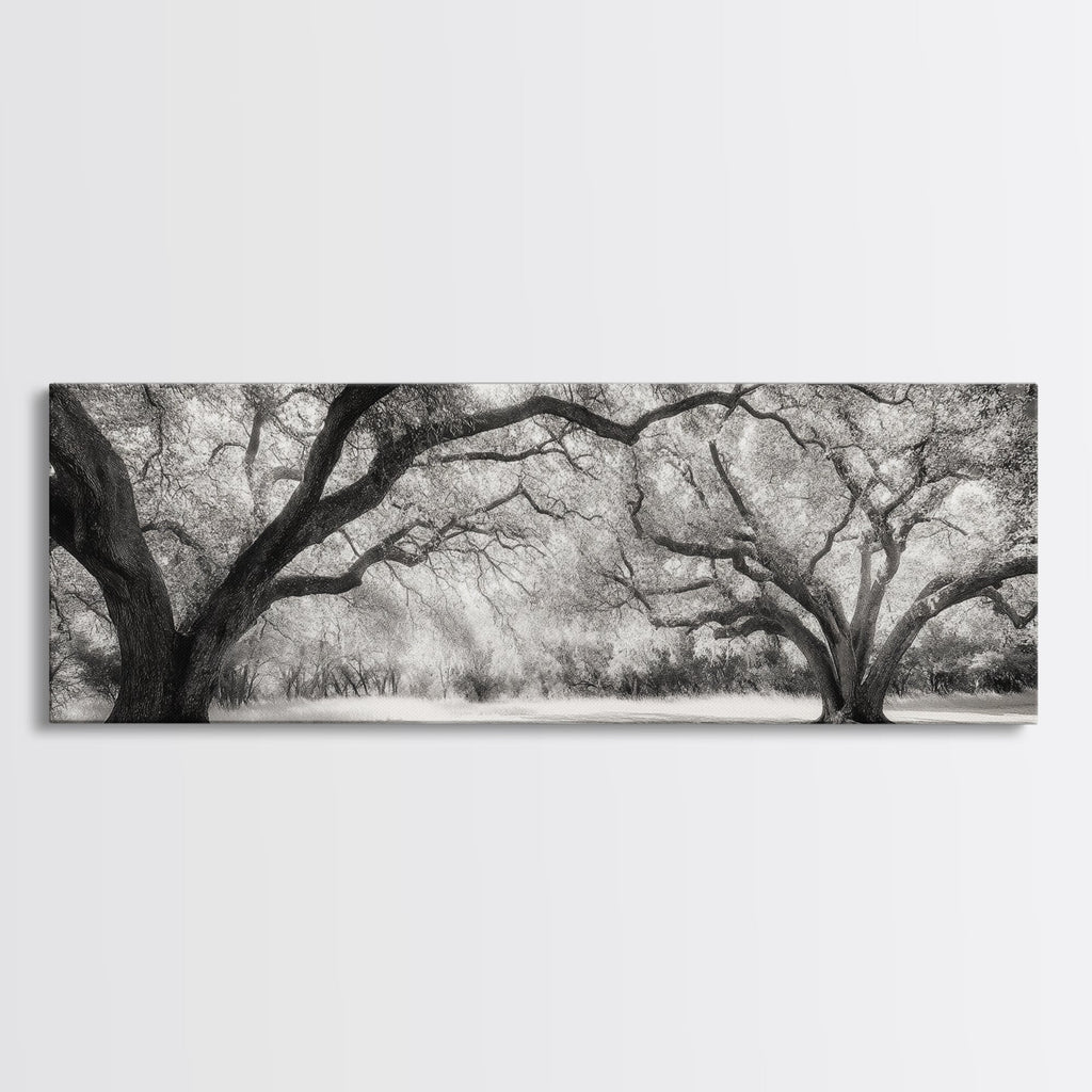 Sprawling Trees, Oak Forest, Sunlit Canopy, Majestic Branches, Canvas Print, Nature Wall Art, Boho Decor, Living Room Statement Piece
