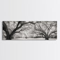 Sprawling Trees, Oak Forest, Sunlit Canopy, Majestic Branches, Canvas Print, Nature Wall Art, Boho Decor, Living Room Statement Piece