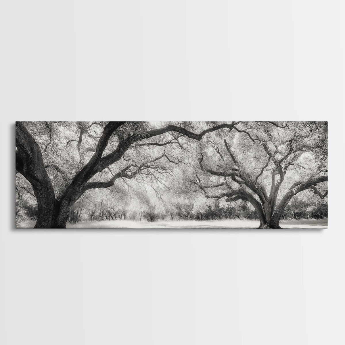 Sprawling Trees, Oak Forest, Sunlit Canopy, Majestic Branches, Canvas Print, Nature Wall Art, Boho Decor, Living Room Statement Piece