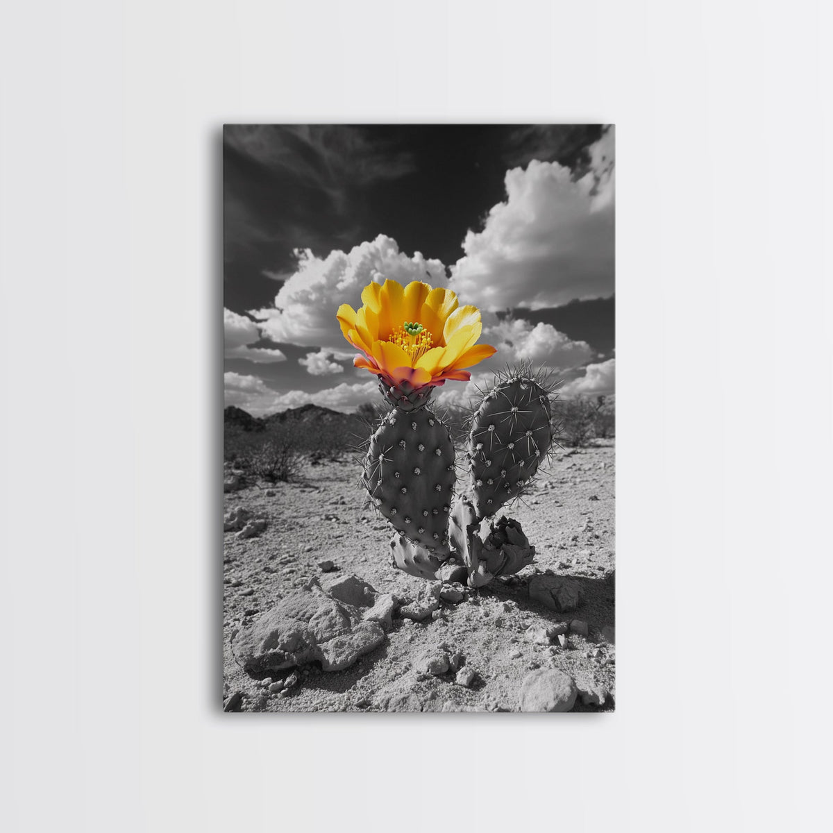Desert Bloom, Wildflower Painting, Botanical Prints, Rustic Art, Southwest Wall Art, Nature Decor, Framed Canvas Print, Gift Idea