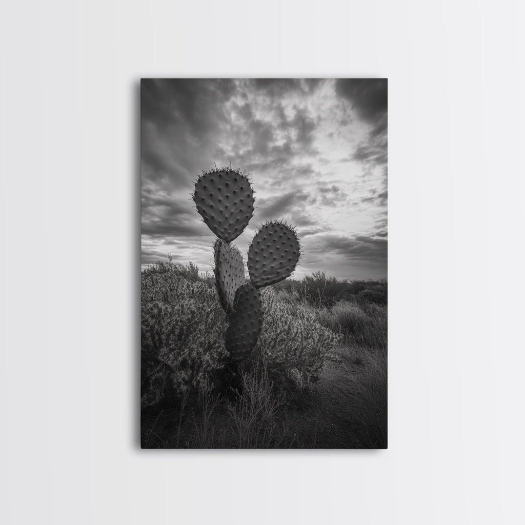 Prickly Pear, cactus art, Joshua tree art, wabi sabi art, moody art, black and white, framed canvas print, minimalist decor, rustic wall art