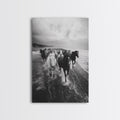 Horse wall art, wild mustangs, moody art, rustic decor, nature photography, black and white art, panoramic art, canvas print, living room art