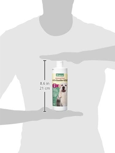 NaturVet – ArthriSoothe-Gold Advanced Care Liquid | Level 3 Advanced Joint Care | Supports Healthy Hip & Joint Function | Enhanced with Glucosamine, MSM & Chondroitin | For Dogs & Cats | 16 oz Liquid