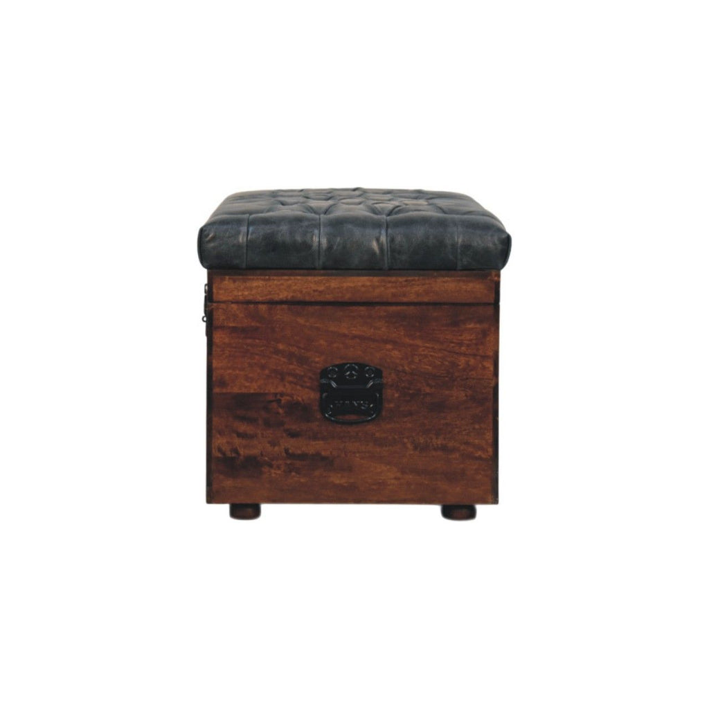 Buffalo - Storage Trunk