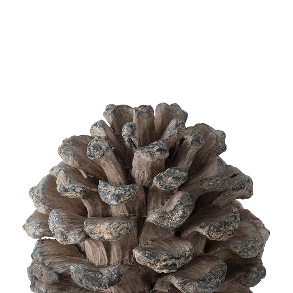 D7x10.5' Pinecone Table Decor