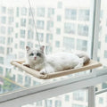 360¬∞ Cat Window Hammock: A Space-Saving Sunny Seat for Indoor Cats!