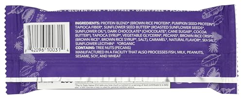 ALOHA Organic Chocolate Caramel Pecan Protein Bars, Case of 12, 1.98 oz Each