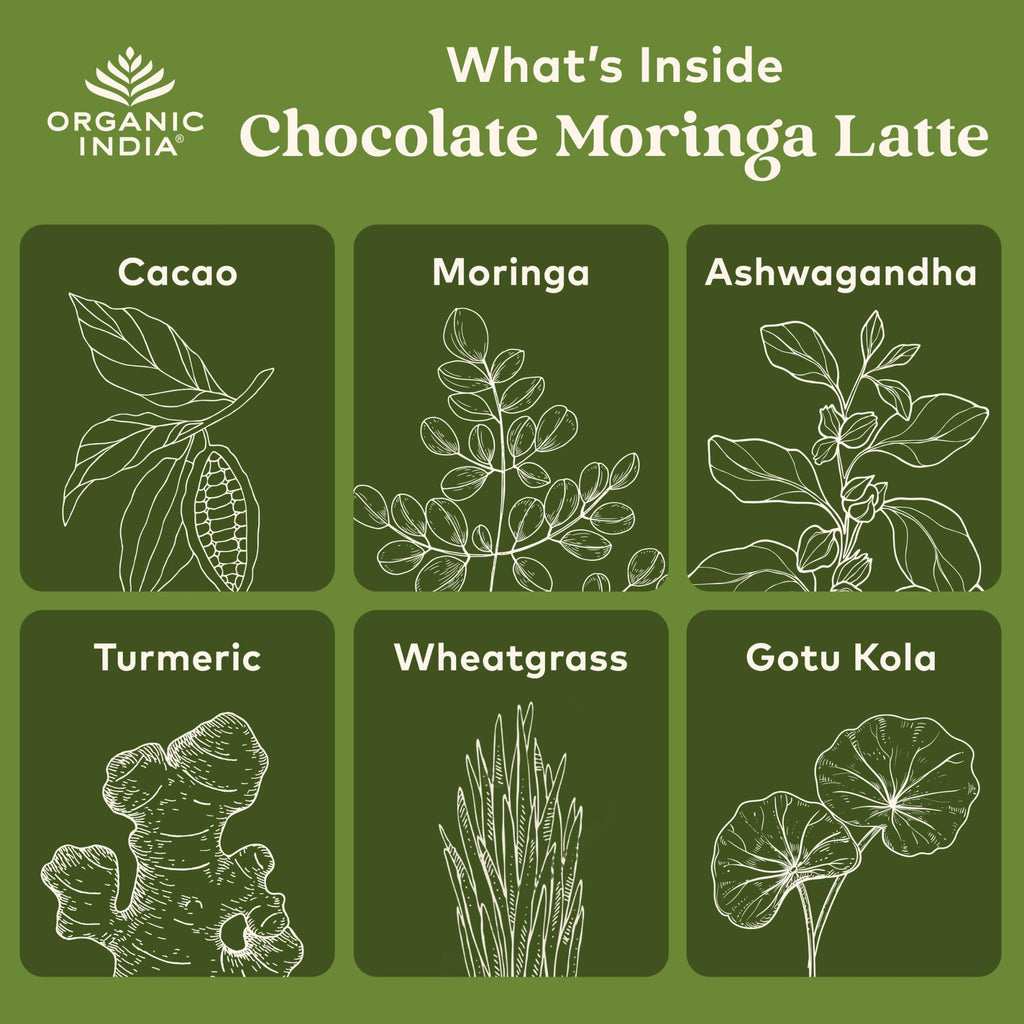 Organic India Chocolate Moringa Latte Superfood Mix, 3.52 Ounces
