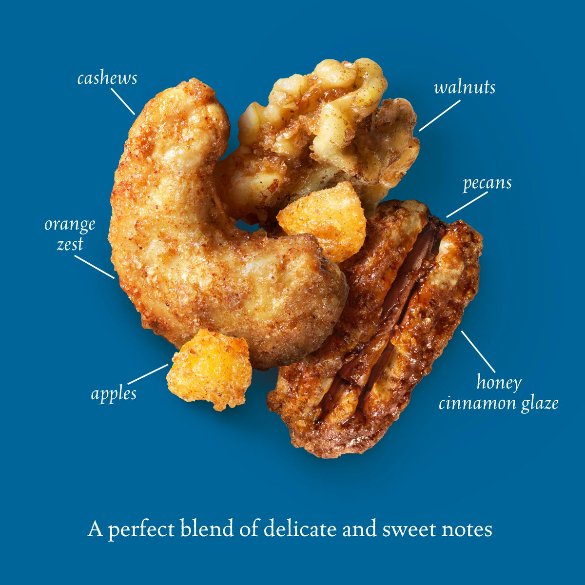 Sahale Snacks Honey Cinnamon Cashew Glazed Nut Blend Case of 18, 1.5 Ounce