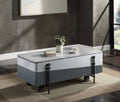 Wilkins High Gloss Coffee Table with Lift Top - Gray / White