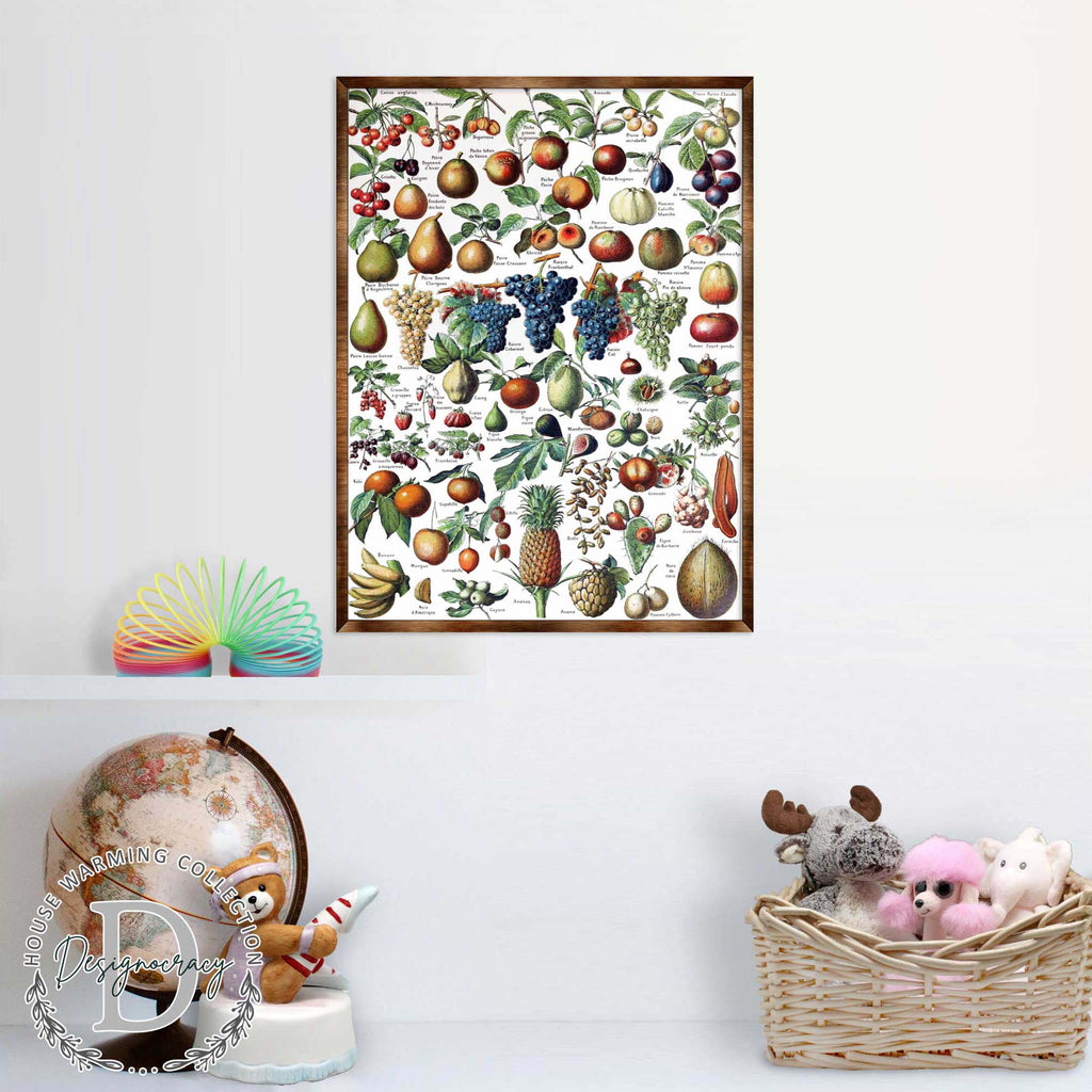 Fruit Montessori Wooden Poster - Homeschool I Educational Poster - Classroom Decor - Aesthetic - 310223