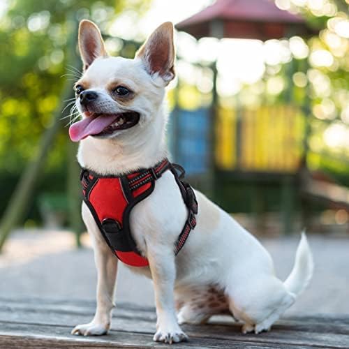 rabbitgoo Dog Harness No Pull with 2 Leash Clips, Adjustable Soft Padded, Reflective Oxford No Choke Pet Vest with Easy Control Handle for Puppy, Red,XS