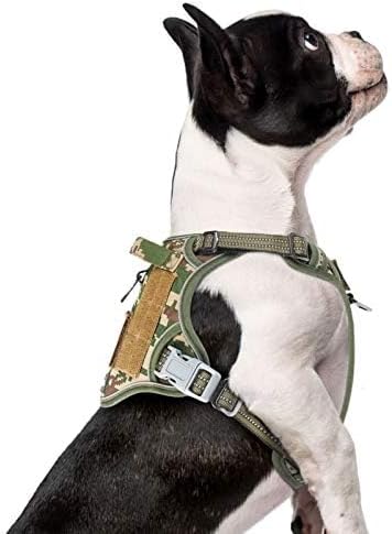 BUMBIN Tactical Dog Harness for Small Dogs No Pull, Famous TIK Tok No Pull Puppy Harness, Fit Smart Reflective Pet Walking Harness for Training, Adjustable Dog Vest Harness with Handle Forest Camo XS