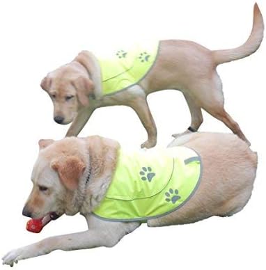 Dog Reflective Vest - Comfortable Jacket Safety Hunting, High Visibility for Dogs with Elastic Straps and Clasp Closure- Orange, X-Small