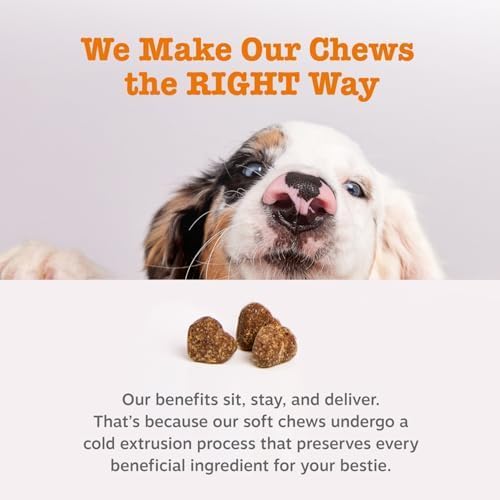 Zesty Paws Probiotics for Dogs - Digestive Enzymes for Gut Flora, Digestive Health, Diarrhea & Bowel Support - Clinically Studied DE111 - Dog Supplement Soft Chew for Pet Immune System - Pumpkin