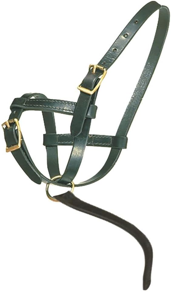 Schneiders Premier Leather Foal Halter for Horses - Newborn | Double Stitched Harness Leather | Soft Fit for Sucklings | Brass-Plated Hardware | Grab Strap for Leading