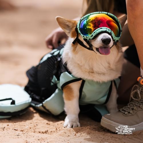 K9 Sport Sack | Plus 2 | Adjustable Dog Carrier Backpack (Small - Summer Mint)