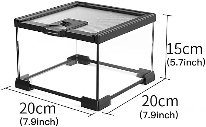 Mini Reptile Glass Terrarium Tank, cage for Tarantula Sling Geckos, Frog, Lizards, Chameleons,Turtles Snake Snail Insect Hermit Crab Isopods Reptiles Enclosure (7.9x7.9x5.7inch)