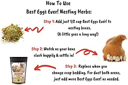 Pampered Chicken Mama Best Eggs Ever! Nesting Herbs for Chickens (4 Pounds) Calcium Supplement for Chickens | Chicken Feed Supplies, Hen Treats for Coops