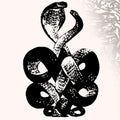 Bardo Pond - Volume 4 & 5 (Gate) [Download Included]