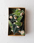 Flocked Mini Green Bottle Brush Trees (Set of 24)