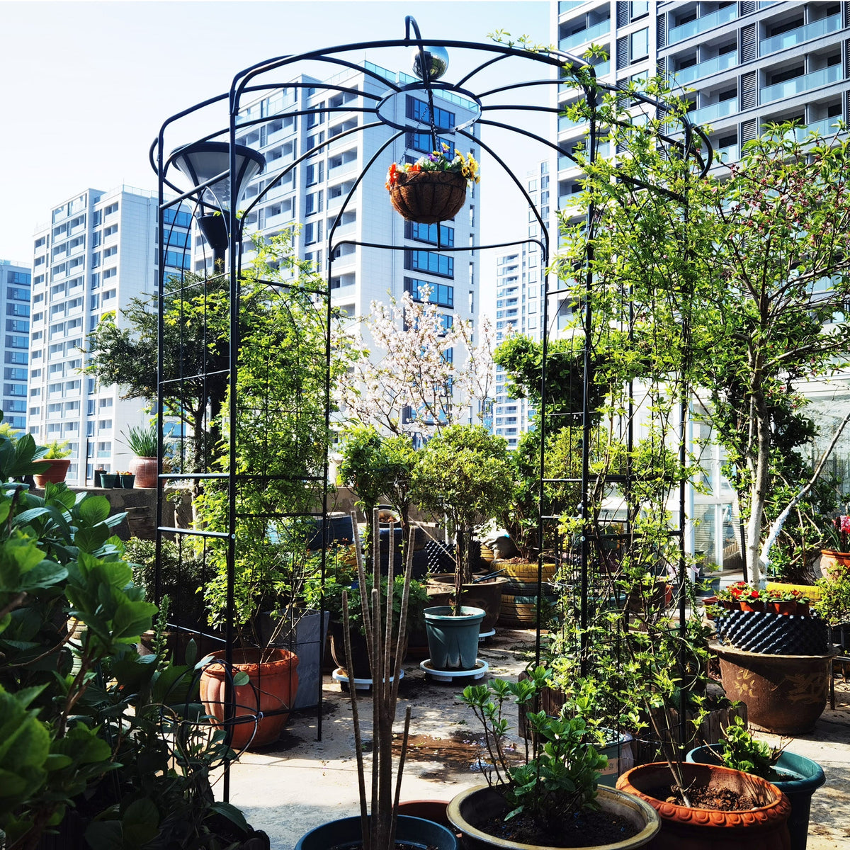 Metal Garden Arch Iron Pergola