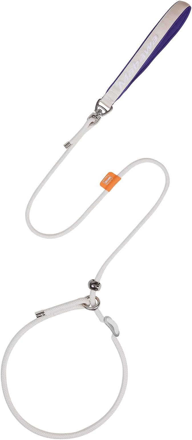 Dog Anti-Slip Leash 5FT with Metal Stopper - Durable No-Pull Training Lead for Small, Medium & Large Dogs - Comfortable Handle Nylon Rope, Tangle-Free Pet Walking Leash (Beige, 5 FT)