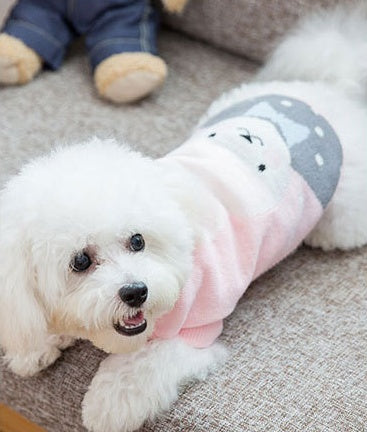 Dog clothes