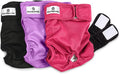 Pet Parents® Washable Dog Diapers (3pack) + Extendrs® of Durable Doggie Diapers, Premium Dog Diapers Female (X-Large, Princess)