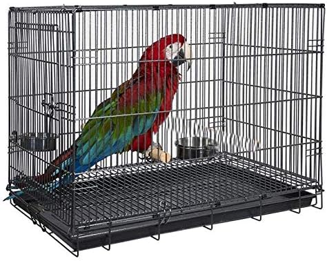 Durable Easy Portable Collapsible Metal Travel or Veterinary Collapsable Parrot Bird Carrier Beaks-Proof Easy Clean Carrier Cage with Stainless Steel Feeder Bowls Natural Wooden Perch