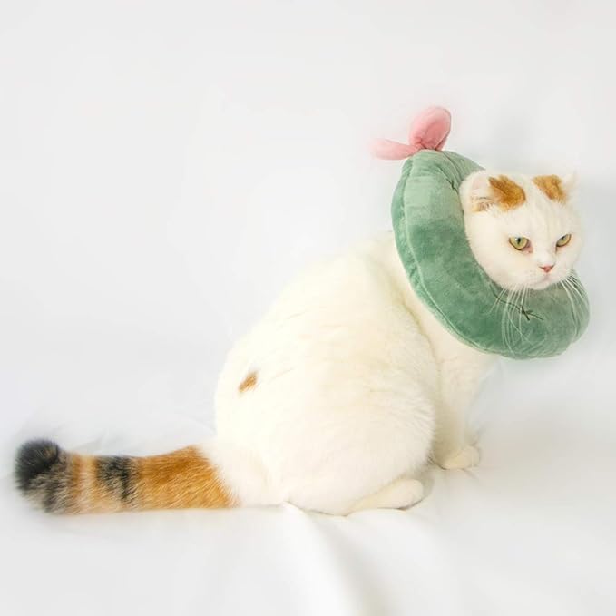 Adjustable Cat Recovery Collar Soft,Cute Pet E-Collar Neck Cone After Surgery Wound Healing Protective Cone Fit for Kitties, Small Dogs(ELC05-cactus-l)