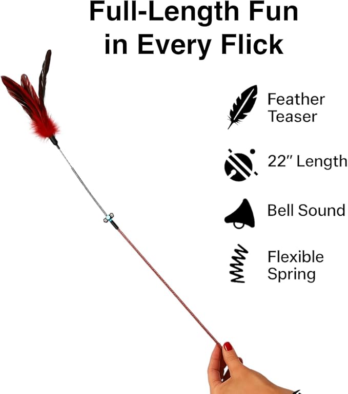 Cat Wand Toy Feather Sticks - 5 Piece Interactive Wands Toy Set with Feathers, Durable Spring Design - Perfect for Engaging Playtime Fun for Kittens and Cats - Cat Toys for Indoor Cats