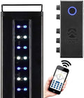 CURRENT USA 72" Inch Orbit Marine IC LOOP LED Saltwater Reef Marine Aquarium Light with Bluetooth App Control | Wireless Lighting & eFlux Wave Pump Control for Fish Tank (4208)