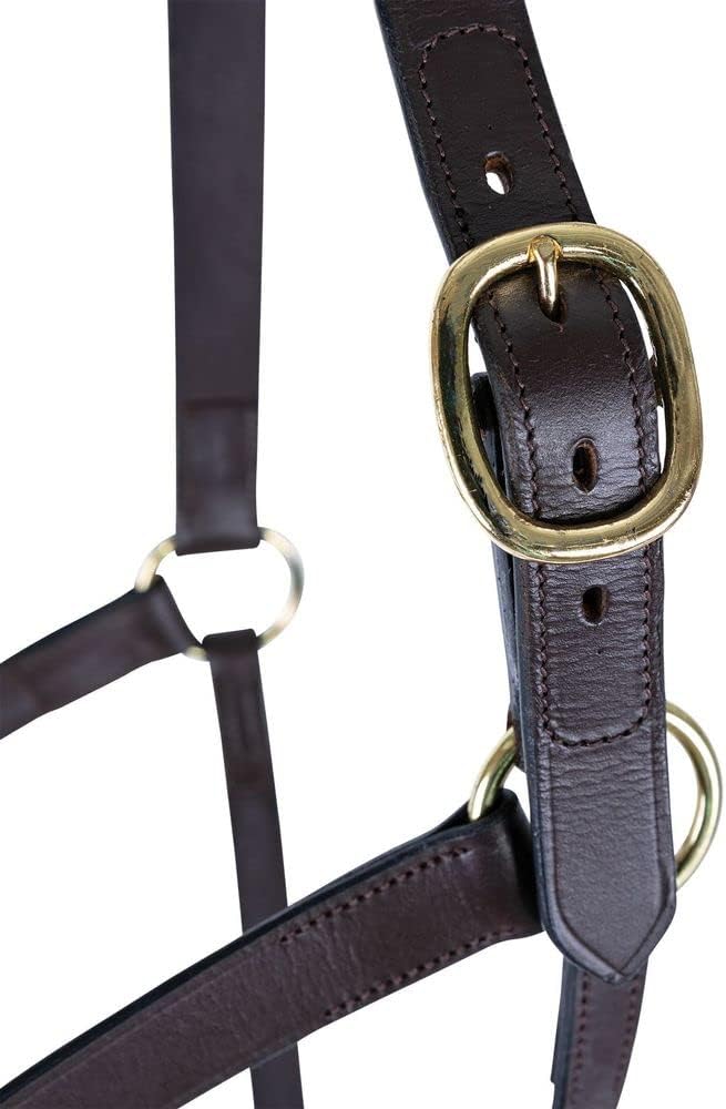 Schneiders Premier Lancaster Fixed Throat Leather Halter for Horses | 1" Single-Ply Leather | Lightweight Everyday Design | Brass Hardware